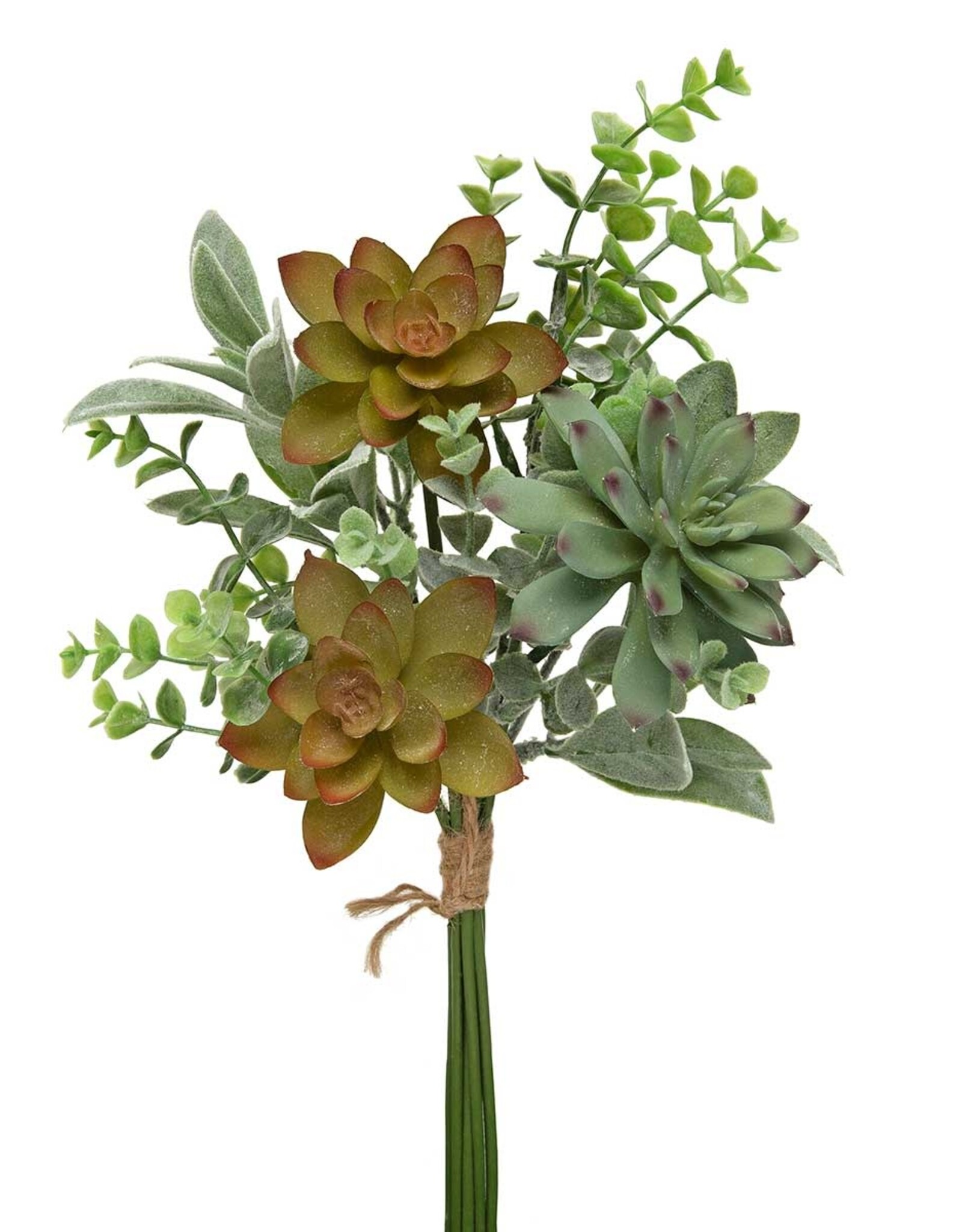Meravic 16" Bundle of 8 Succulents