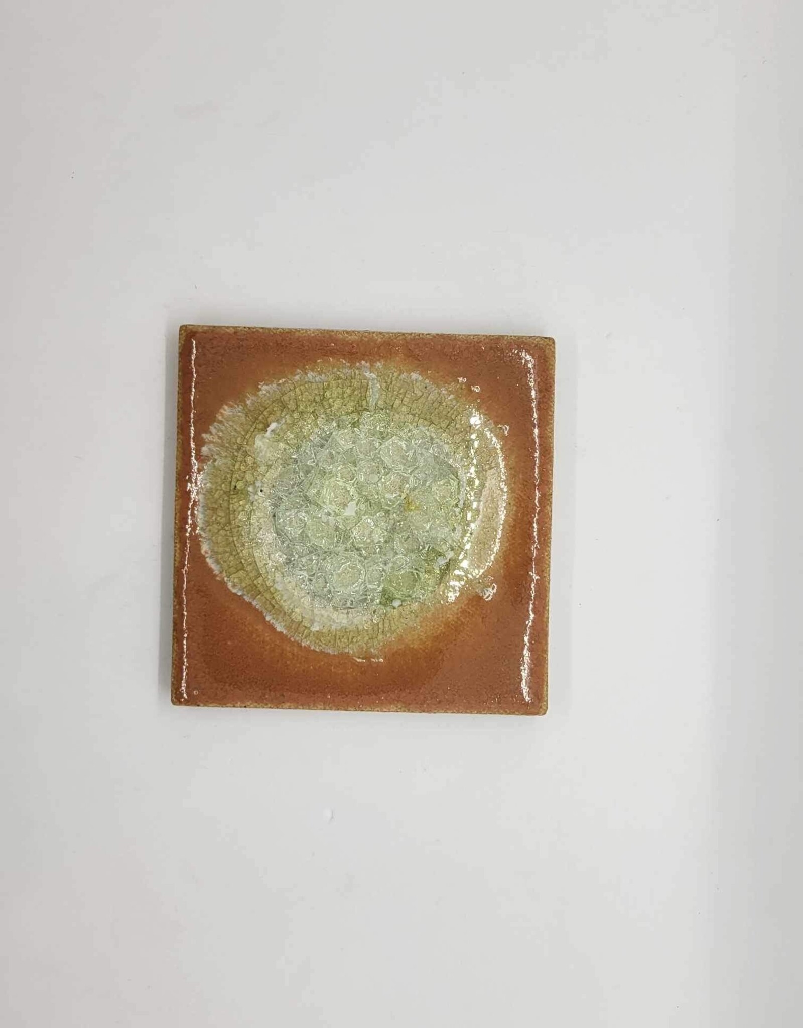 Dock 6 Pottery SALE Glass Coaster -Pumpkin