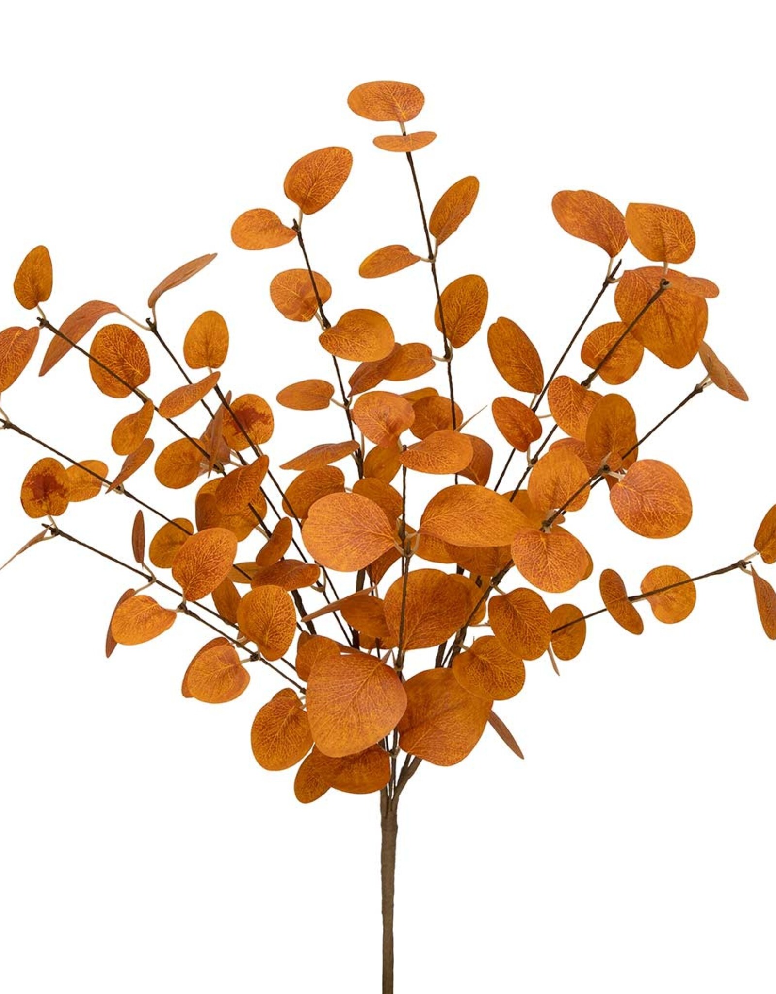 Meravic 21" Fall Eucalyptus Bush - Orange