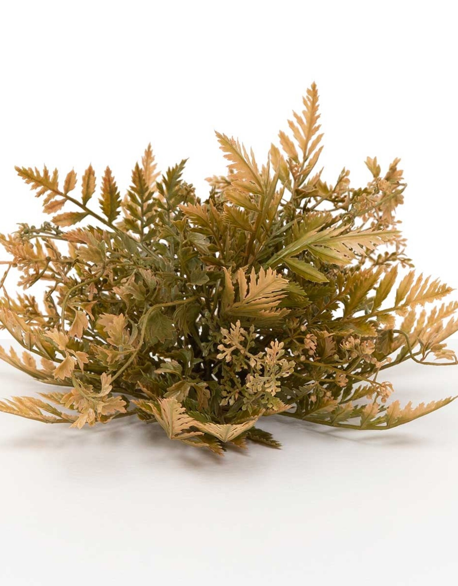 Meravic 10" Fall Fern Dome