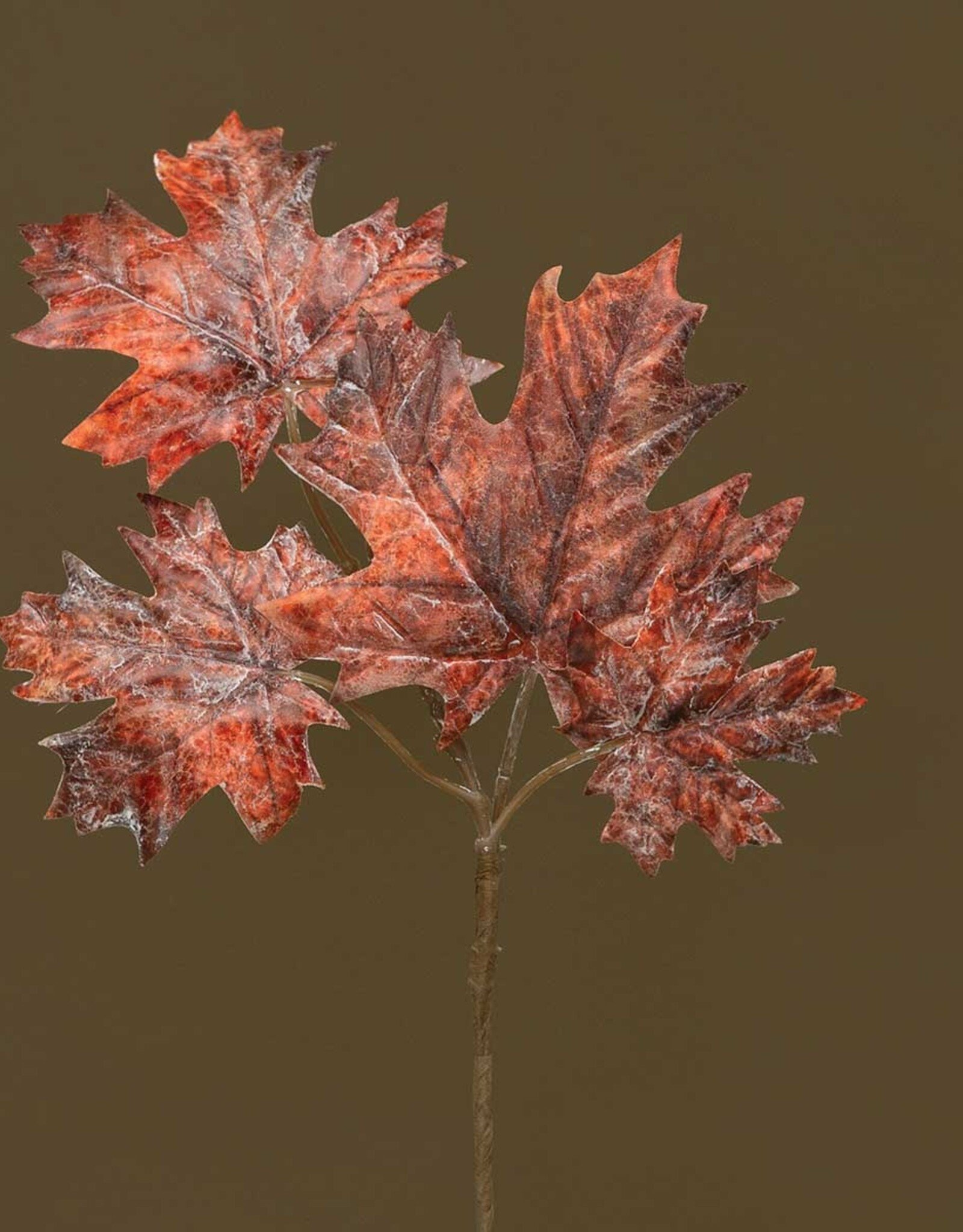 Meravic 11" Dusted Maple Leaf - Rust