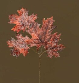 Meravic 11" Dusted Maple Leaf - Rust