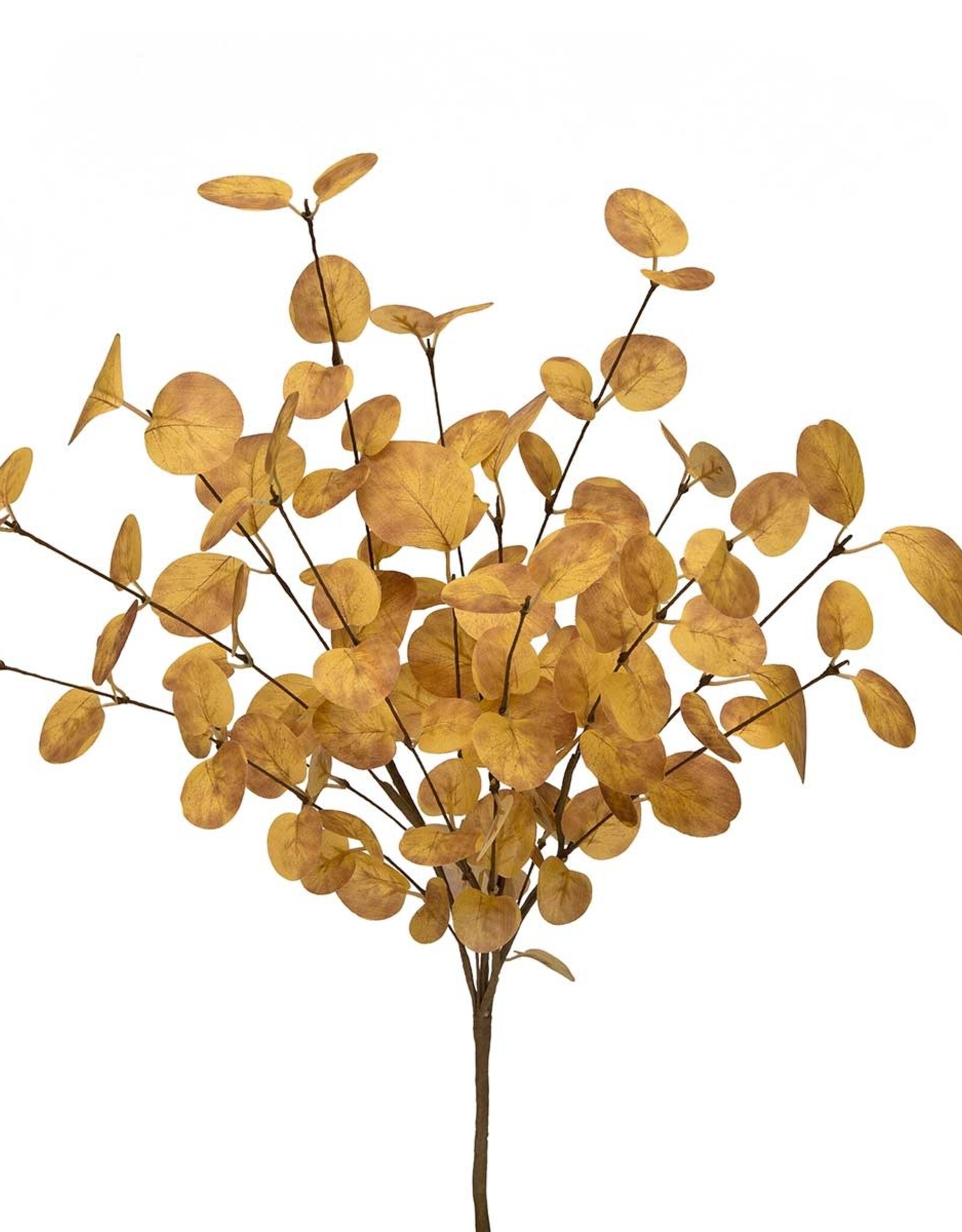 Meravic 21" Fall Eucalyptus Bush - Gold