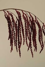 Meravic 29" Hanging Amaranthus - Burgundy