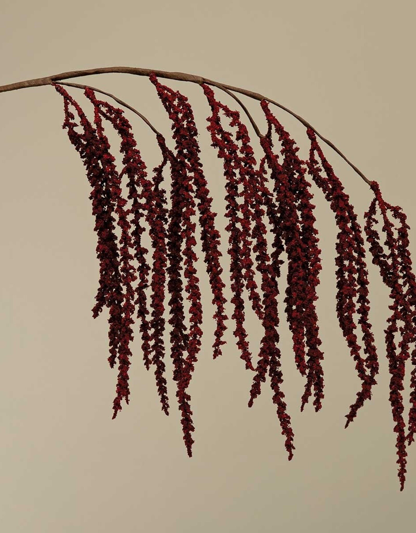 Meravic 29" Hanging Amaranthus - Burgundy