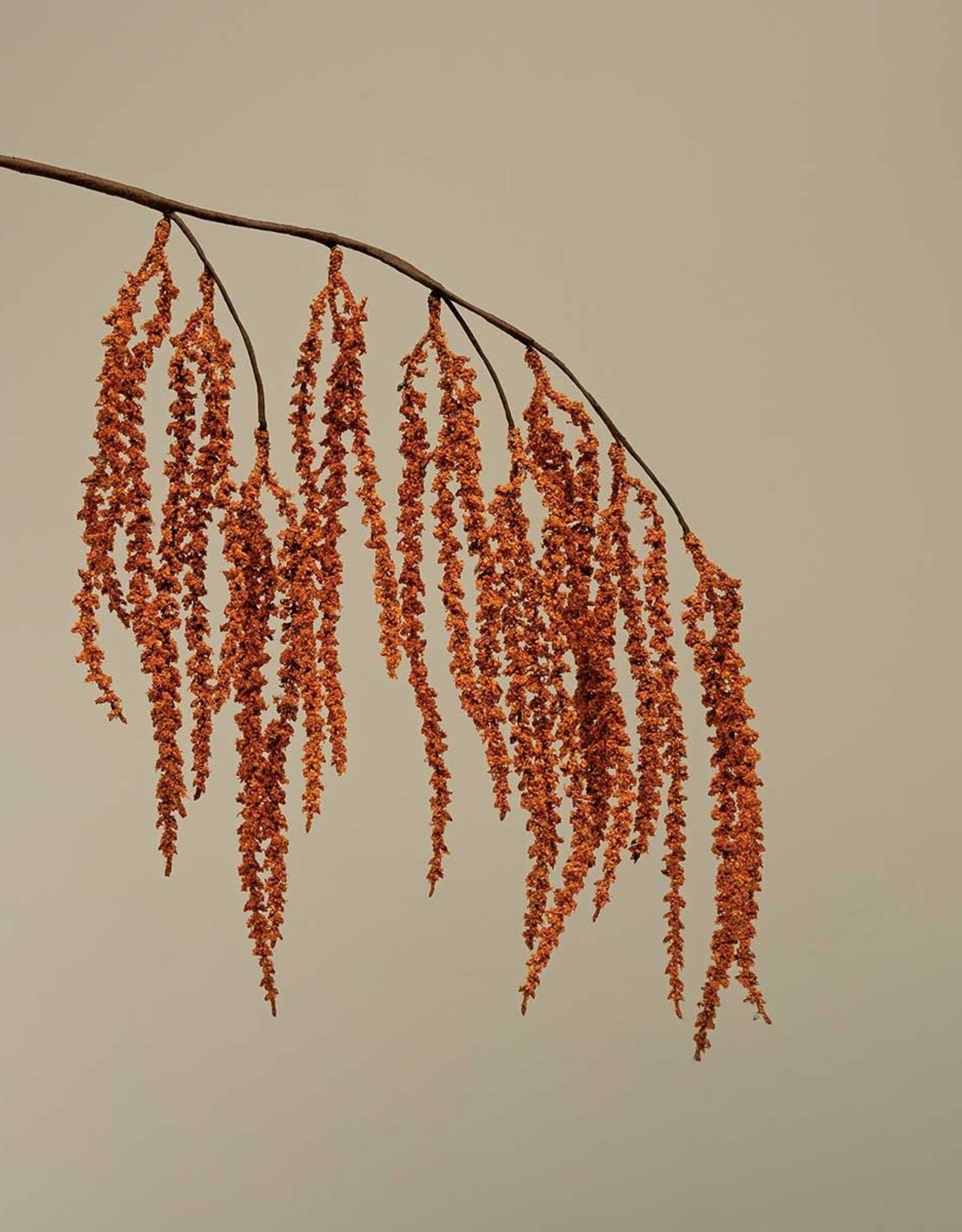 Meravic 29" Hanging Amaranthus - Orange