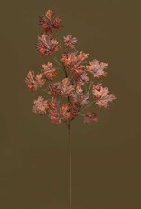 Meravic 38" Dusted Maple Leaf - Rust