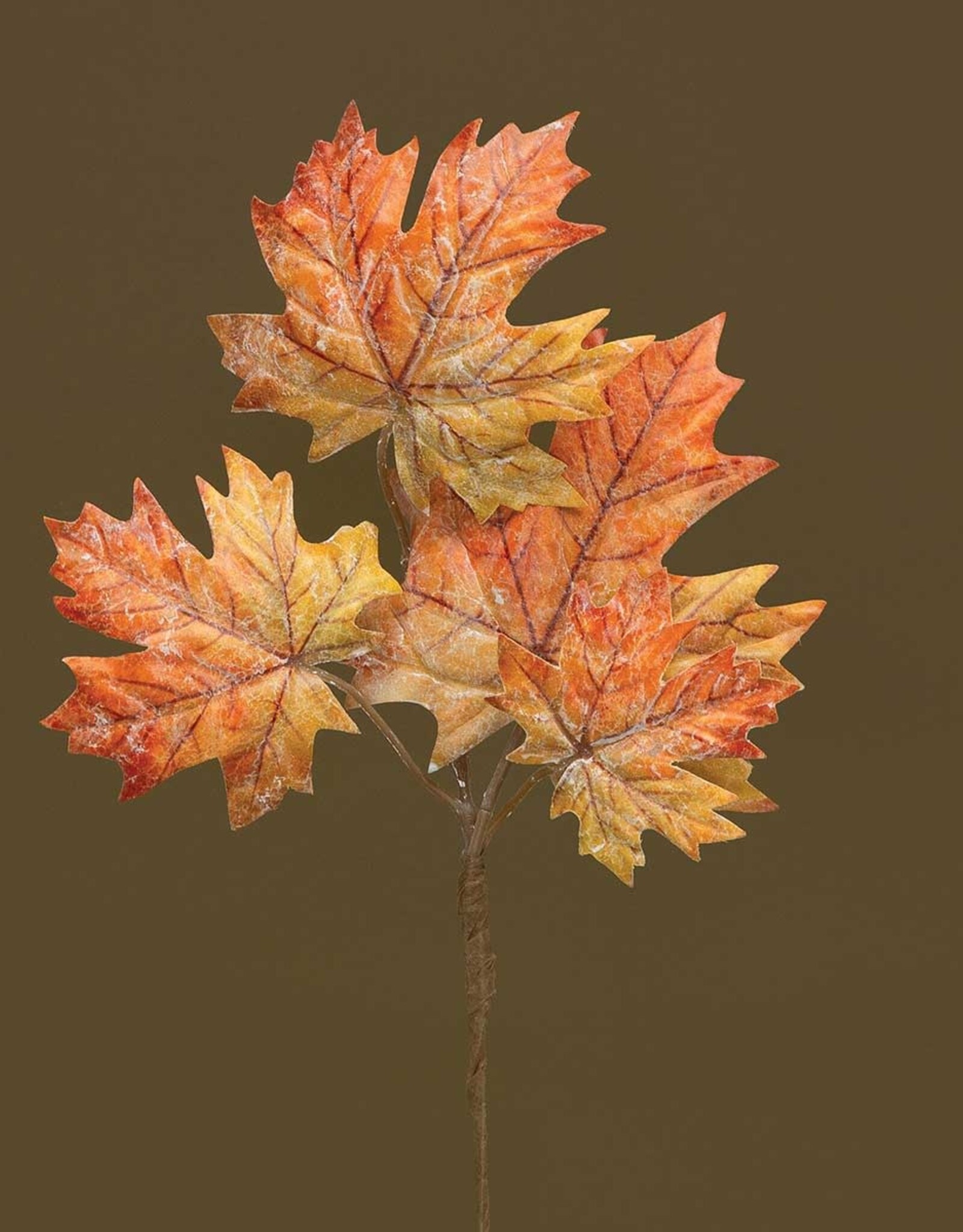 Meravic 11" Dusted Maple Leaf - Orange