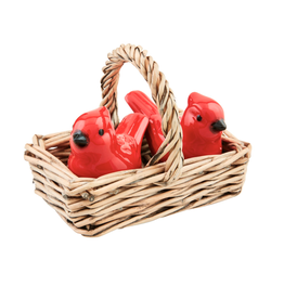 Mudpie Cardinal Salt & Pepper Set