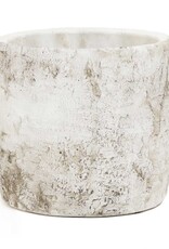 Meravic 5" Birch Bark Pot - Medium