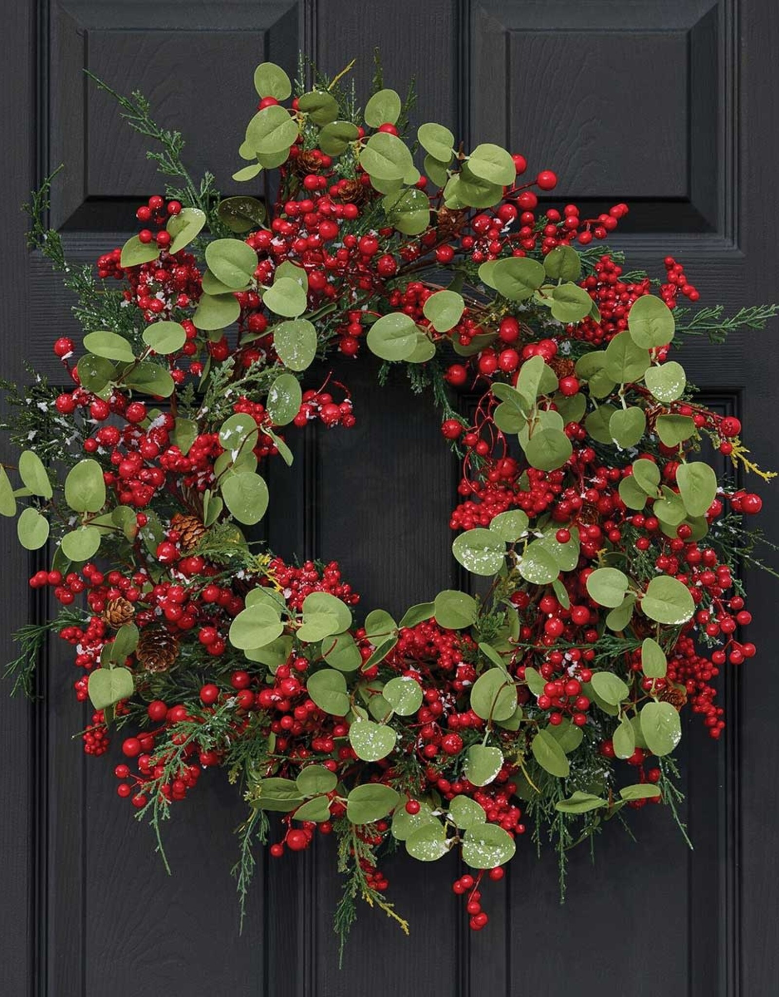 Meravic 22" Frosted Red Berry & Eucalyptus Wreath