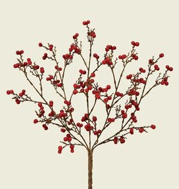 Meravic 23" Non-Pop Berry Bush - Red