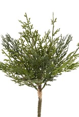Meravic 13" Bundle of 3 Cedar Pine