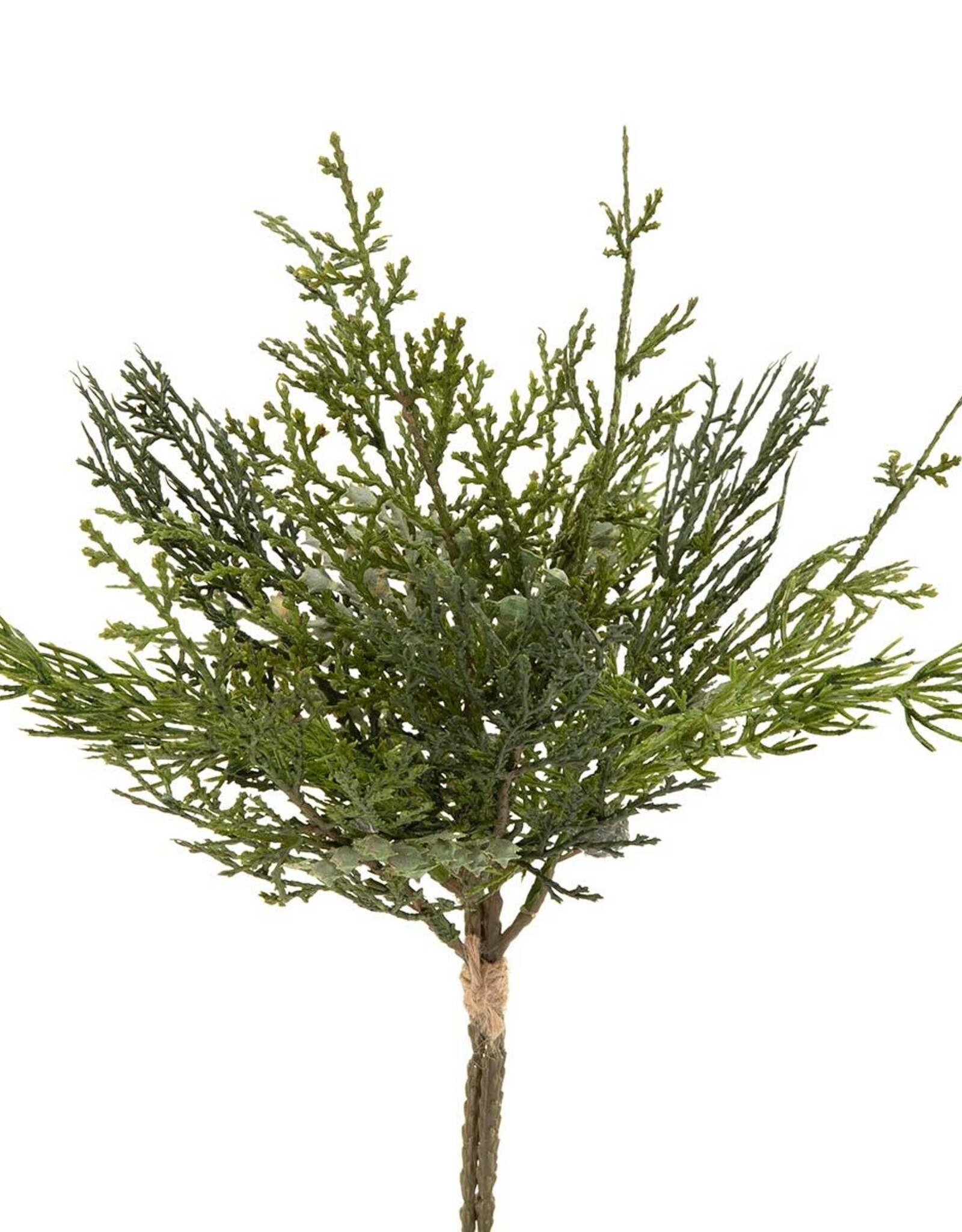 Meravic 13" Bundle of 3 Cedar Pine