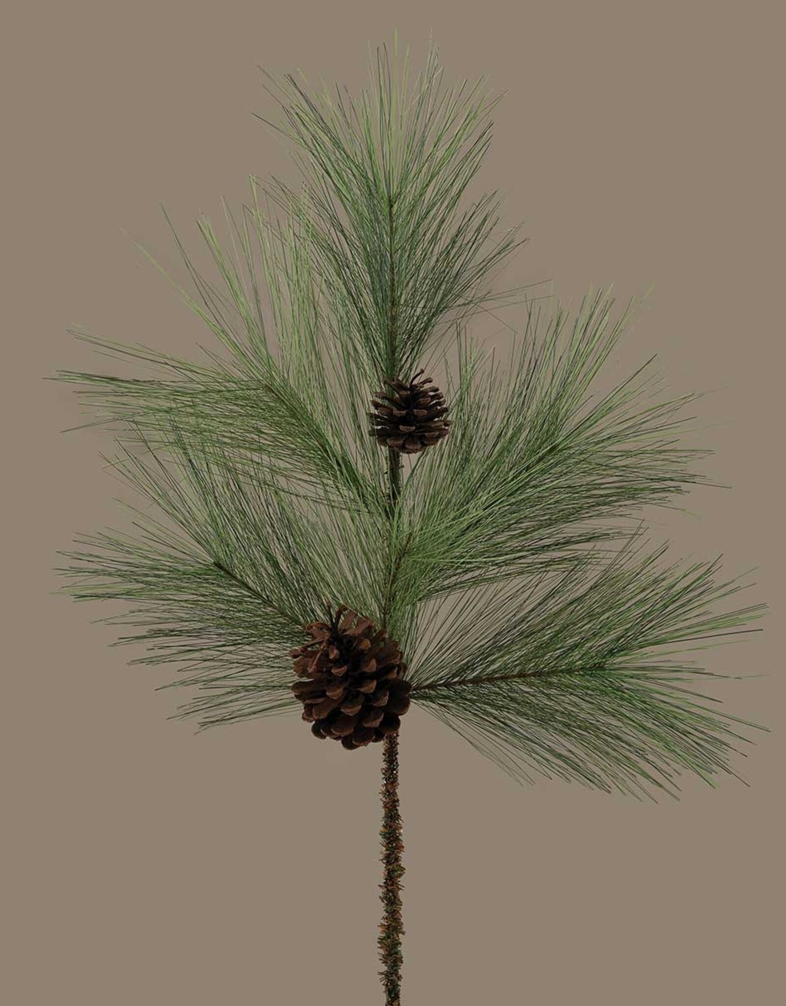 Meravic 28" White Pine with Pinecone Spray