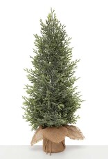Meravic 18" Fresh Conifer Pine Tree in Burlap