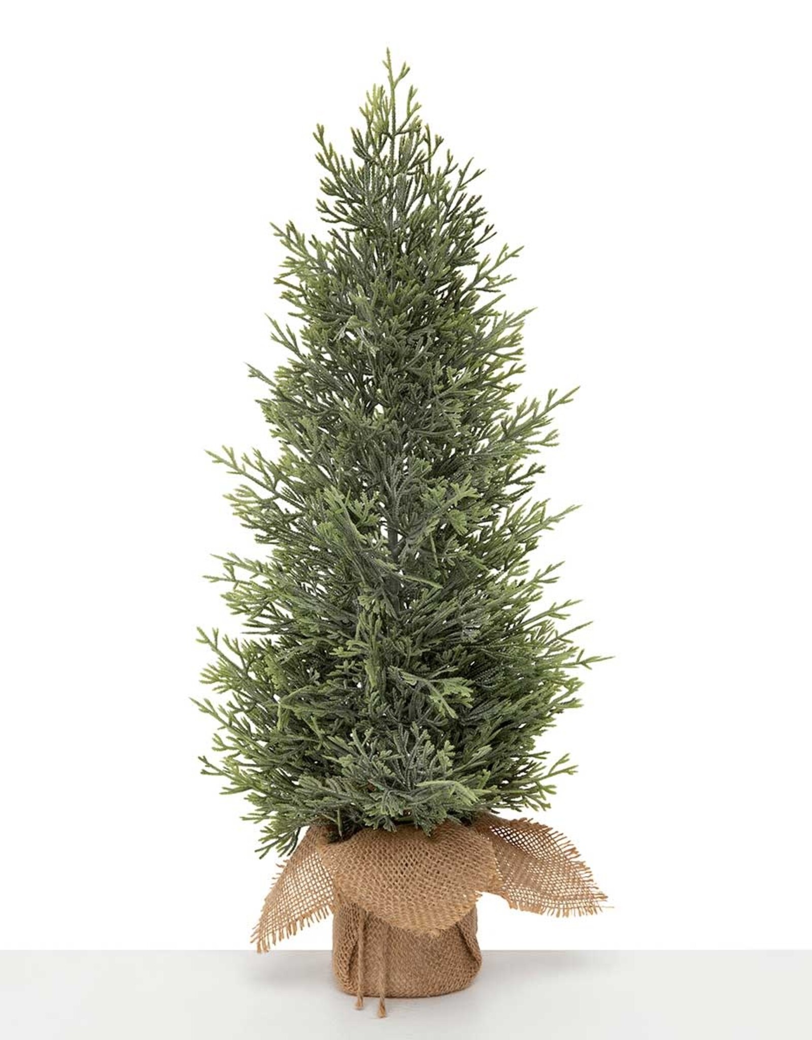 Meravic 18" Fresh Conifer Pine Tree in Burlap
