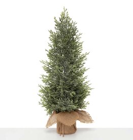 Meravic 18" Fresh Conifer Pine Tree in Burlap