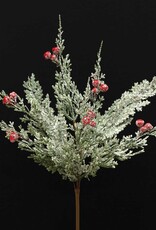 Meravic 16" Frosted Cedar Pik with Red Berries
