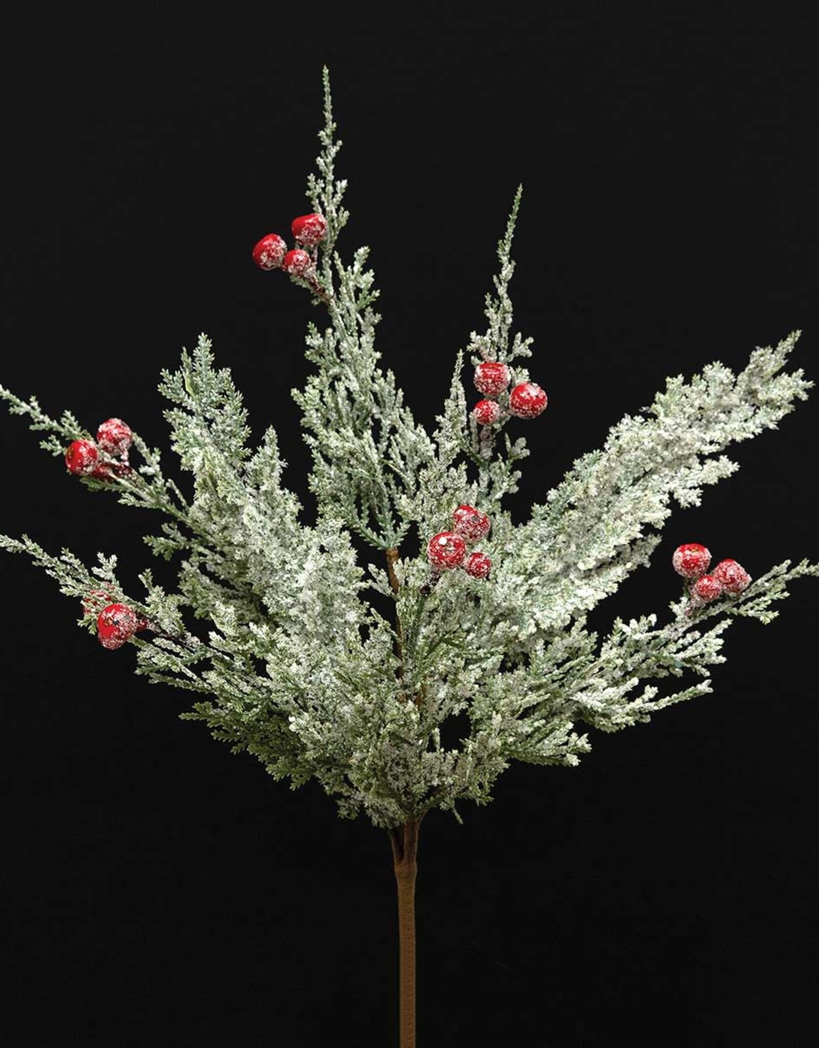 Meravic 16" Frosted Cedar Pik with Red Berries