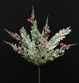Meravic 16" Frosted Cedar Pik with Red Berries