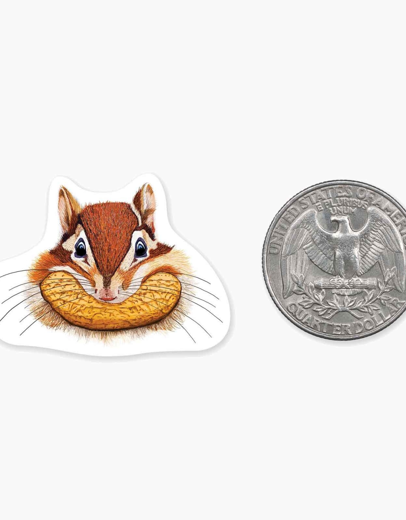 Nice Enough Chipmunk MINI Sticker