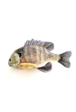 Cabin Critters Bluegill 7" Stuffed Animal