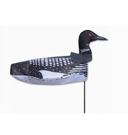 Premier Kites Windicator Weather Vane - Loon