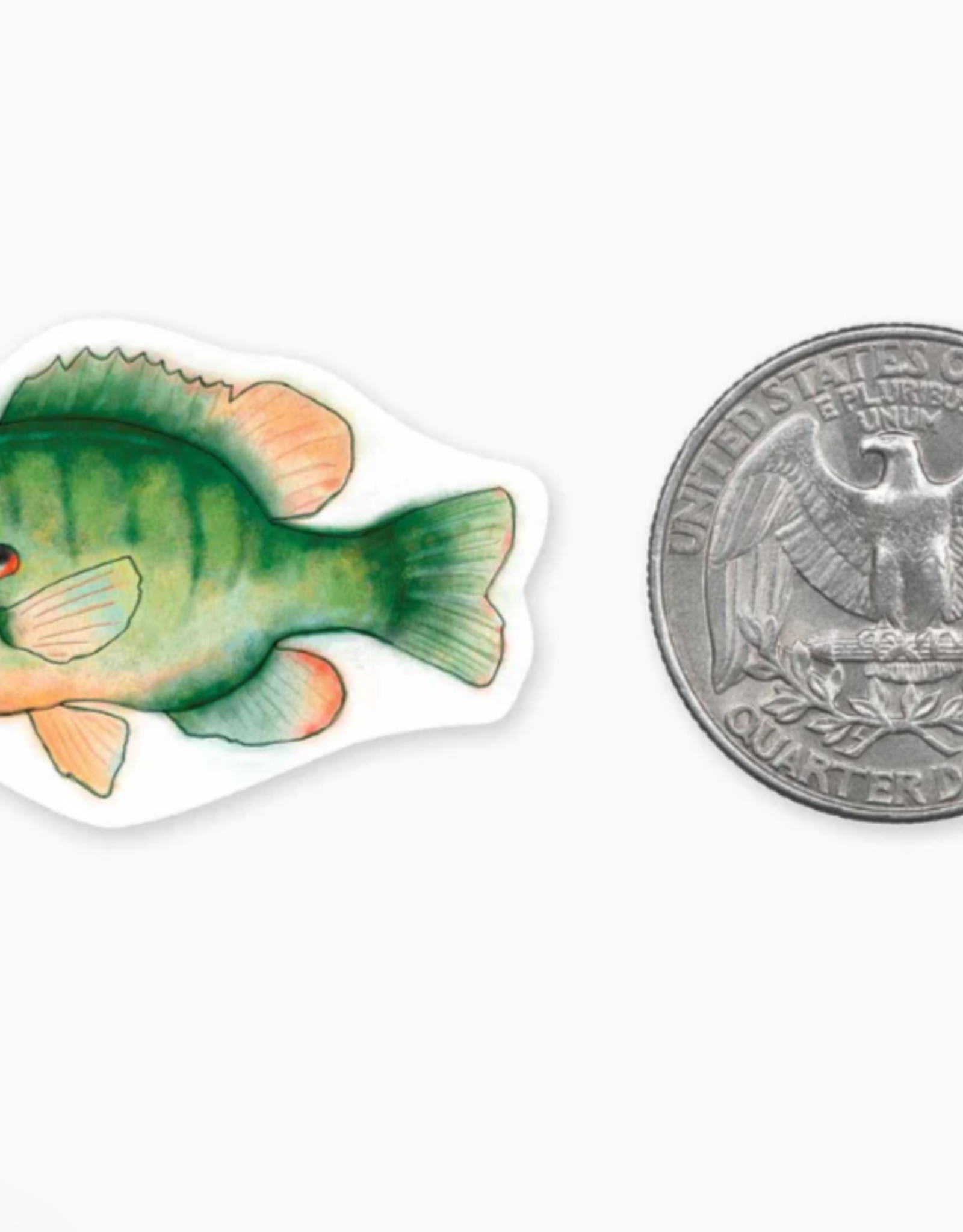Nice Enough Mini Sunfish Sticker