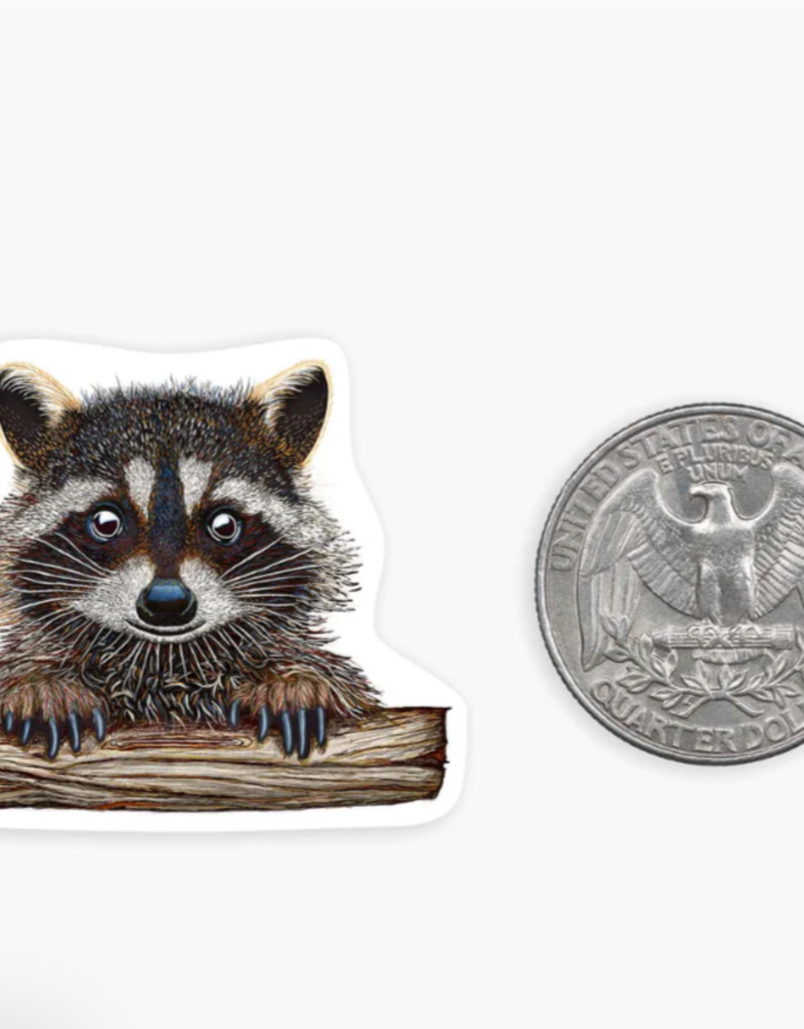 Nice Enough Mini Rocky Raccoon Sticker