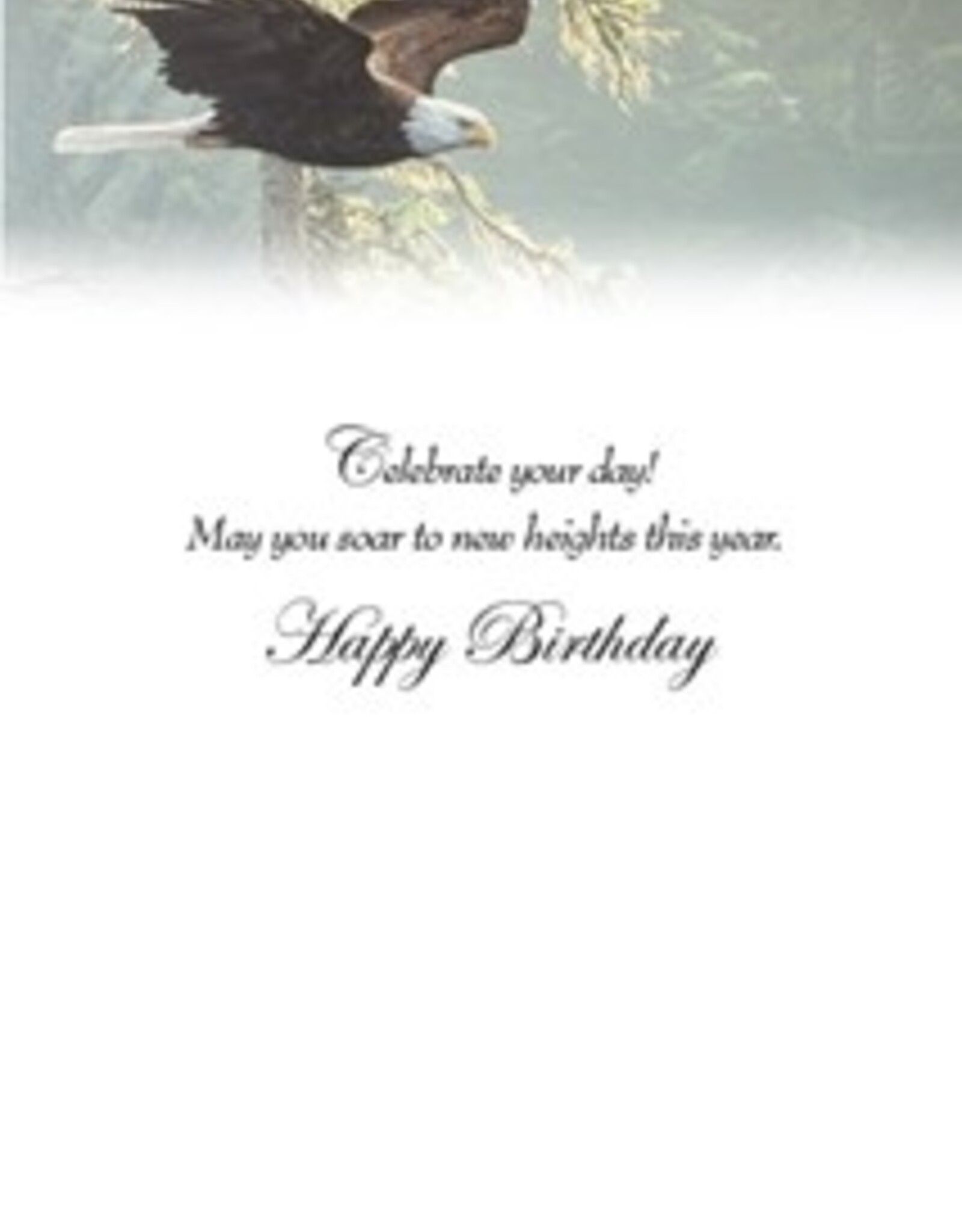 Pumpernickel Press Forest Flight Greeting Card