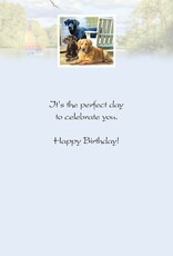 Pumpernickel Press Dogs at the Lake Birthday Greeting Card