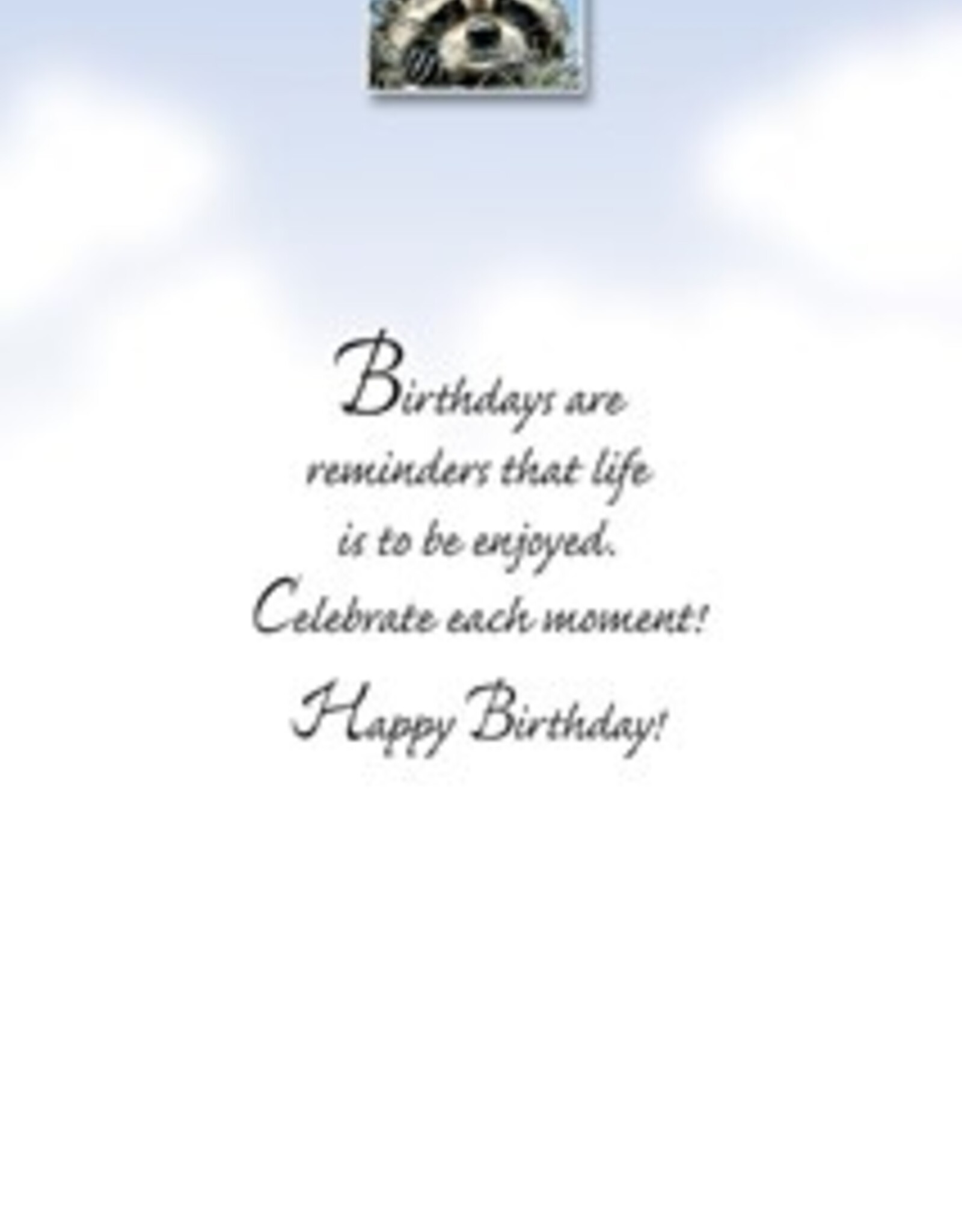 Pumpernickel Press Double Trouble Birthday Greeting Card