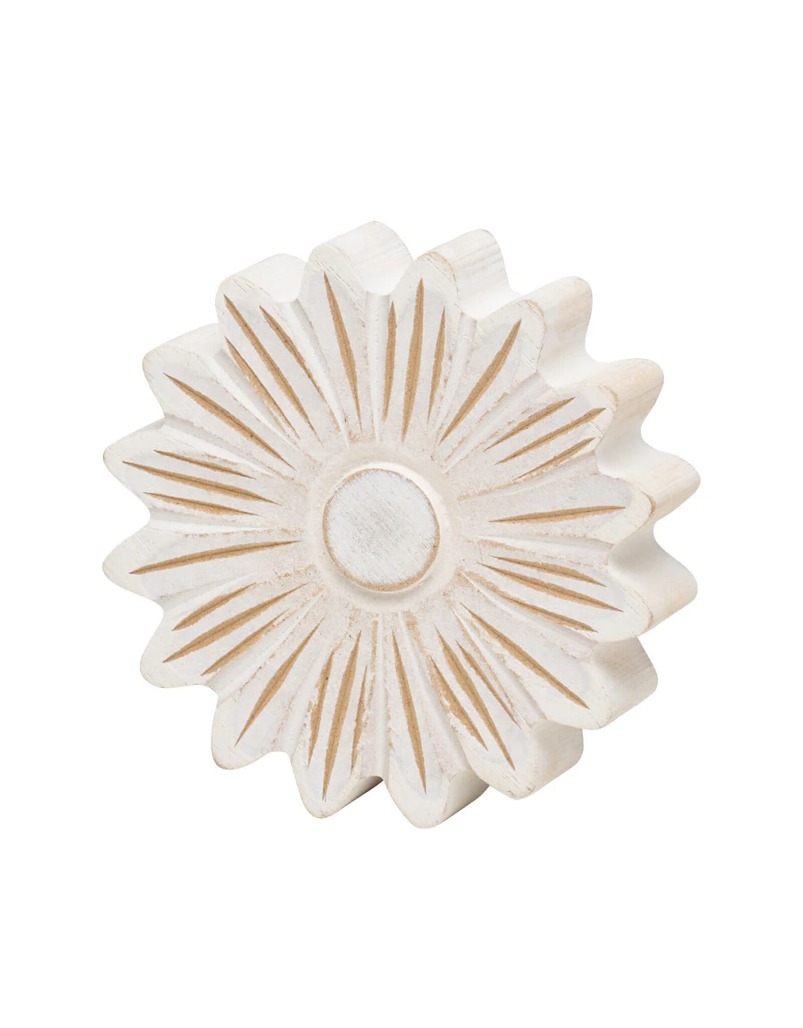 Collins Painting & Design Medium White Washed Daisy Head