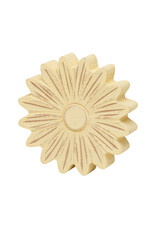 Collins Painting & Design Large Yellow Washed Daisy Head