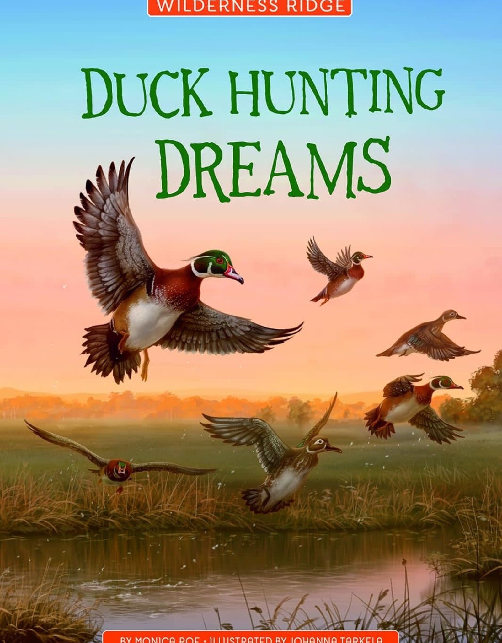 Capstone Publishing Duck Hunting Dreams Paperback Book