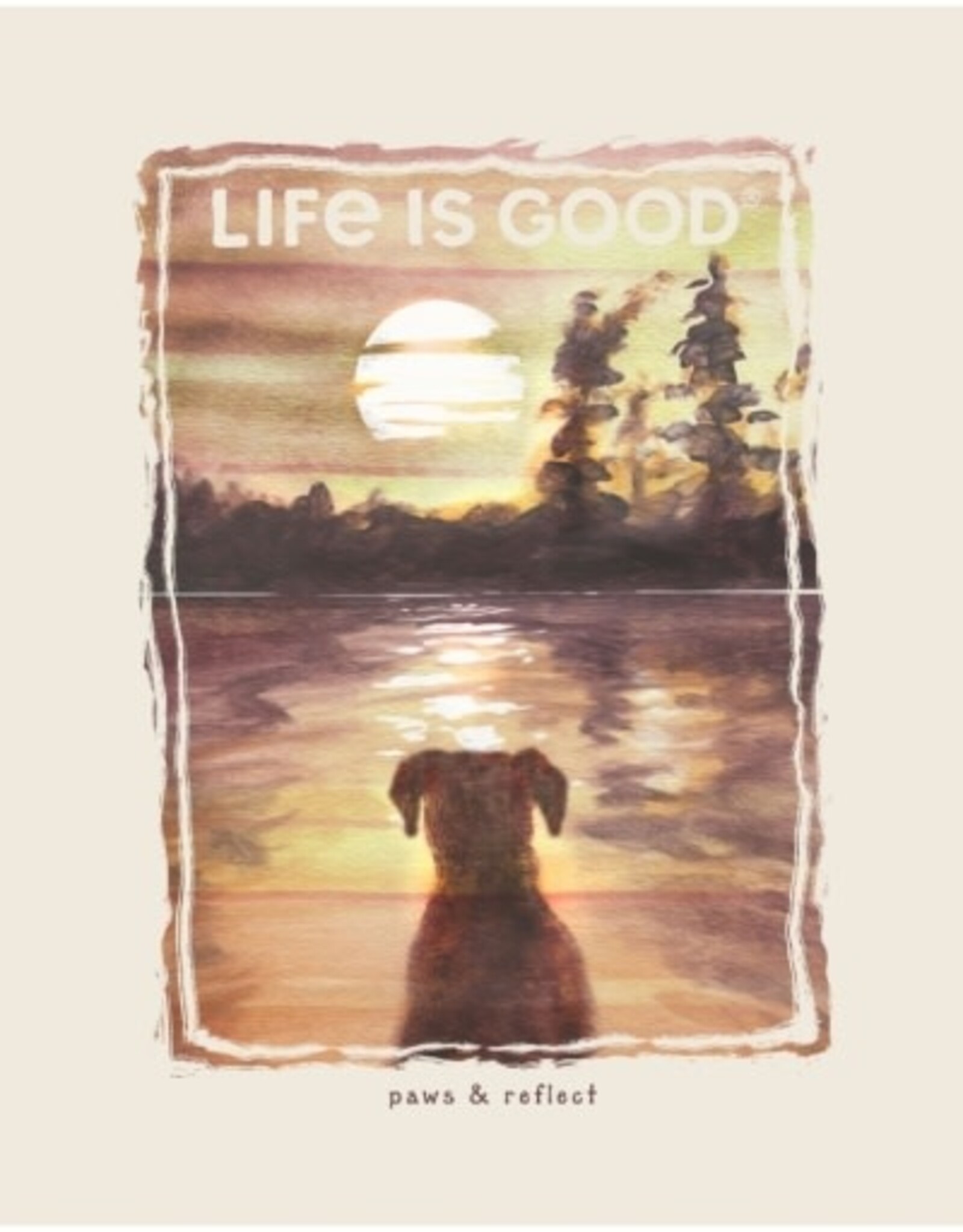 Life Is Good Women's Paws and Reflect Short Sleeve Crusher Tee