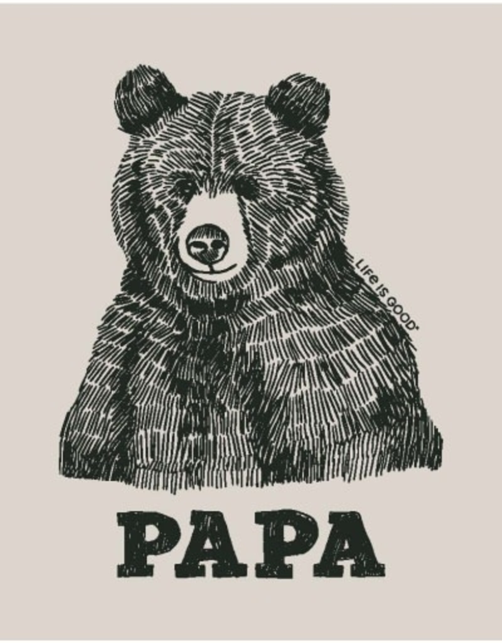 Life Is Good Men's Fineline Papa Bear Short Sleeve Crusher Tee