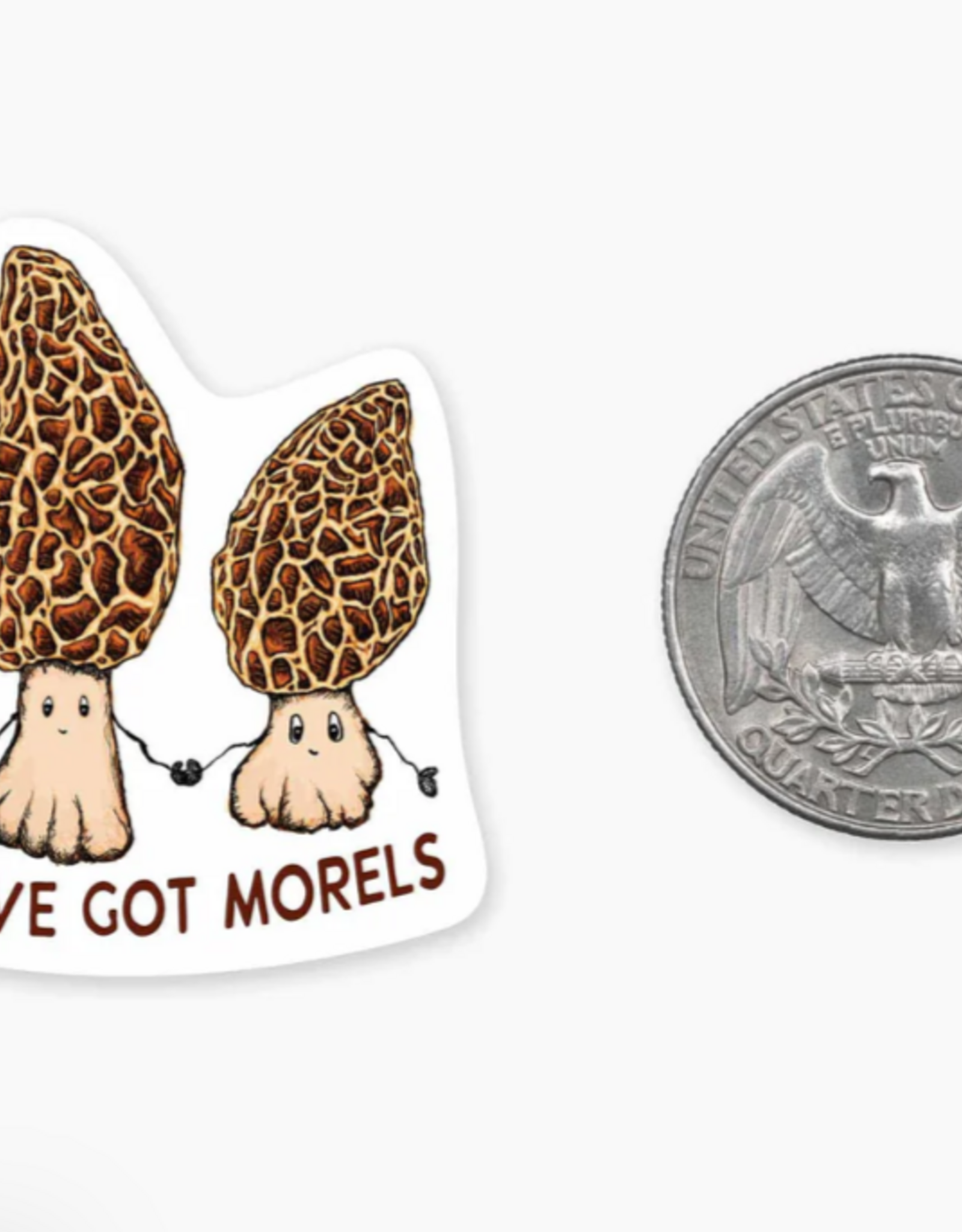 Nice Enough Morels MINI Sticker
