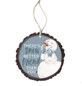 Sincere Surroundings Snow Better Friend Ornament