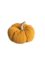 Collins Painting & Design Medium Butterscotch Wide Cord Pumpkin