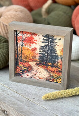 Collins Painting & Design Autumn Backroad Mini Frame