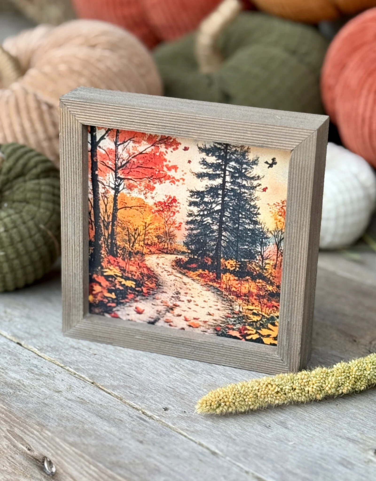 Collins Painting & Design Autumn Backroad Mini Frame