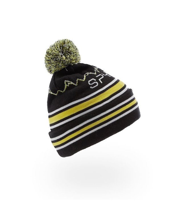 Spyder Spyder Tuque Icebox 197174