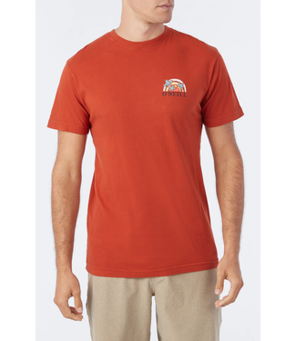 O'Neill T-Shirt Shaved Ice SP3118704