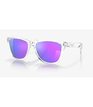 OAKLEY Oakley Lunette Frogskins 9013-H755