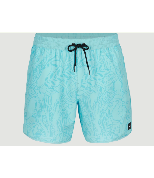 O'Neill O'Neill Short hybrid Scallop ocean volley 2800084