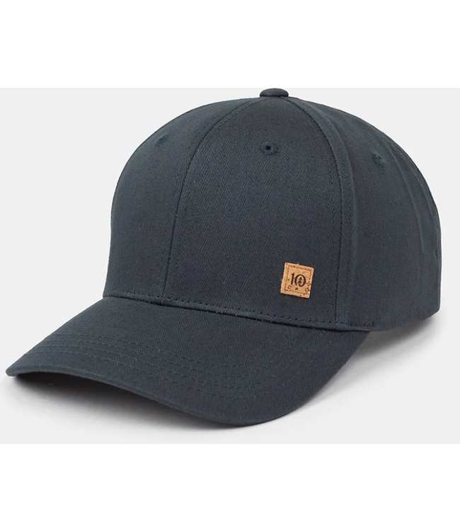 Tentree TENTREE CASQUETTE CORK ICON ELEVATION TAU3837