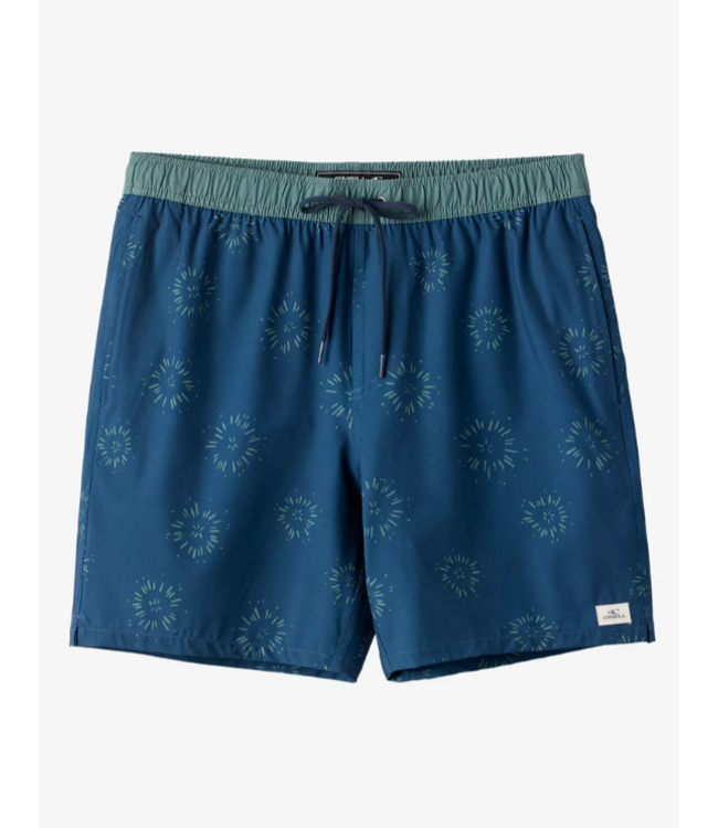 O'Neill O'NEILL SHORT HERMOSA EW LINED 17'' SP5106027C