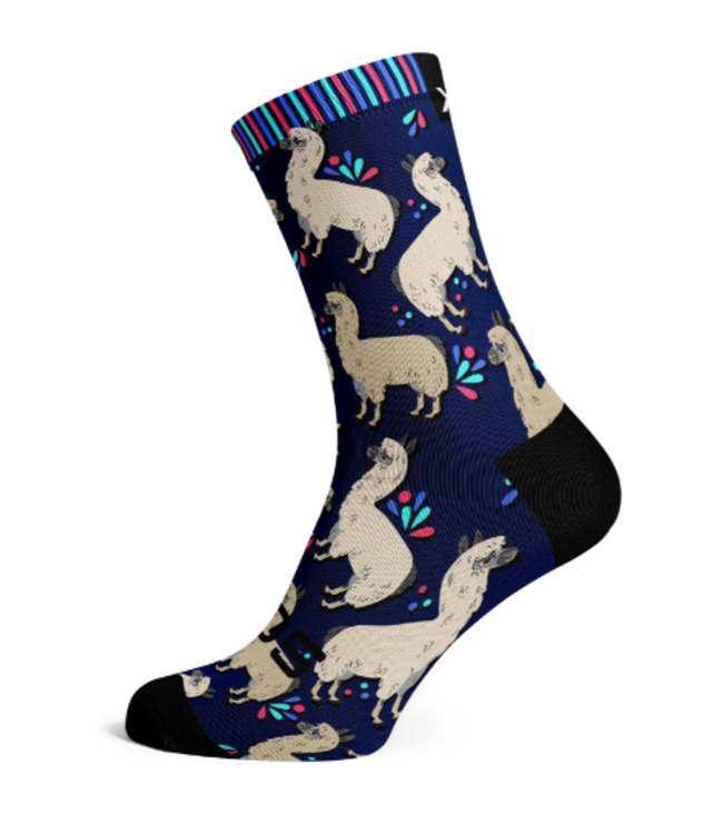 Sox Footwear SOX FOOTWEAR CHAUSSETTES